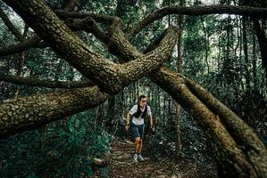 BIB: 
                            <button type="button" onclick="openModal(25664427)" class="btn btn-primary btn-sm float-right btn-popup" data-toggle="modal" data-target=".modal-high-quality">
                        <i class="fas fa-shopping-cart"></i> Add to Cart
                    </button>
                                            <button type="button" onclick="isThisMe(25664427, true)" class="btn btn-success btn-sm float-right btn-popup btn-isme hidden" data-toggle="tooltip" data-placement="bottom" title="นี่คือรูปของคุณใช่ไหม คลิกที่นี่เพื่อเอาเข้าอัลบั้ม">
                        <i class="fas fa-plus"></i> Add to album
                    </button>
                    <button type="button" onclick="isThisMe(25664427, false)" class="btn btn-warning btn-sm float-right btn-popup btn-isnotme hidden">
                        <i class="fas fa-ban"></i> Remove from album
                    </button>